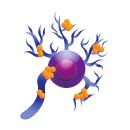 neurotransmiter receptor